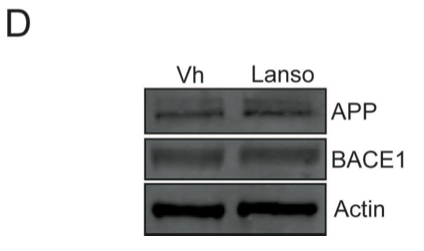 Figure 2.D